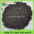 Organic Fertilizer Best Price with High Quality